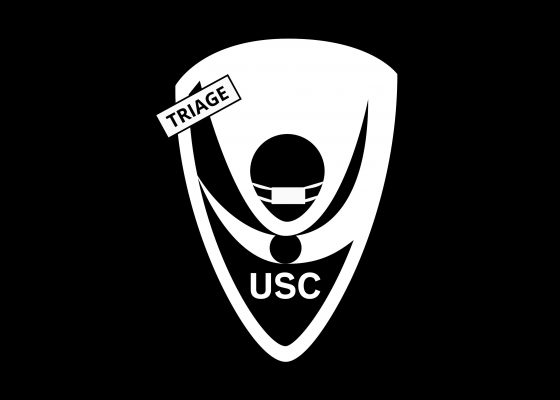 Perspective for the coming period